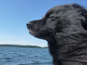 0D78BE22 FCA6 4CA9 877A 87781CC11AE2