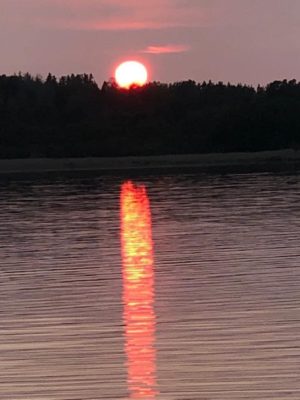 B6FEDB7B C345 4740 82A9 510DBC0A7A22