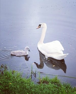 IMG 20210131 2120051